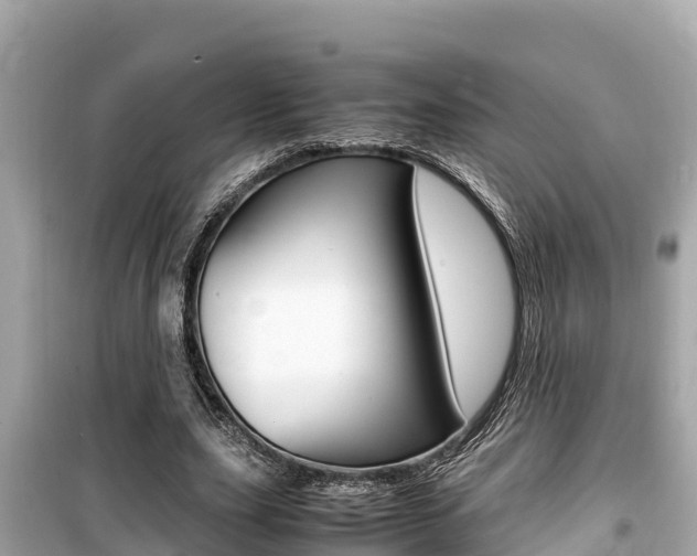 X0000099940631200805231021