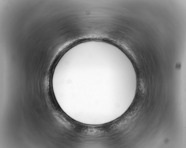 X0000099940632200805231021