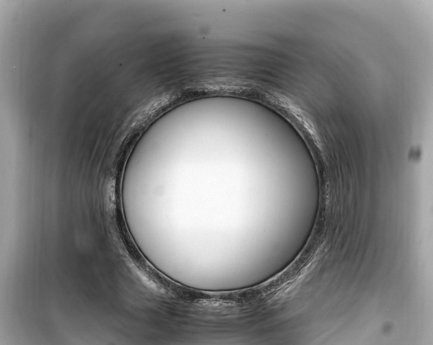 X0000099940633200805231021