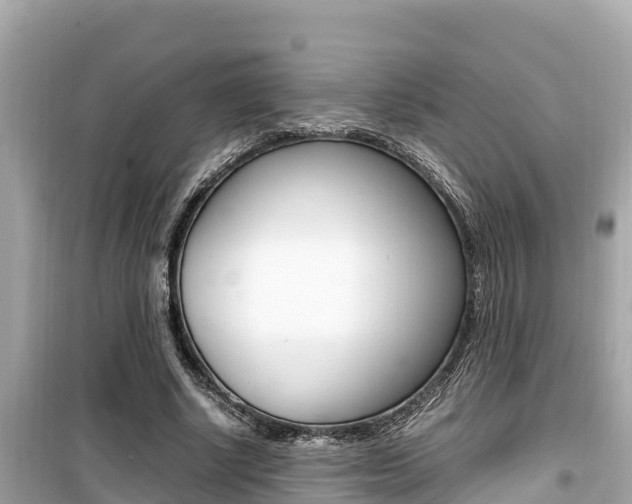 X0000099940634200805231021