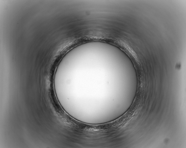 X0000099940635200805231021
