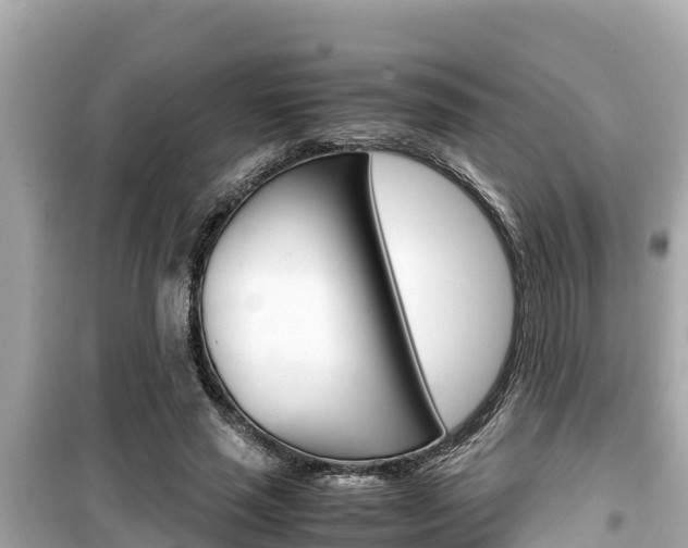 X0000099940637200805231021