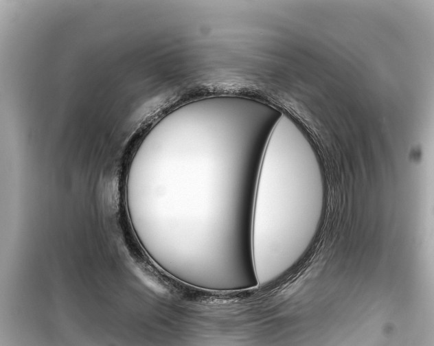 X0000099940638200805231021