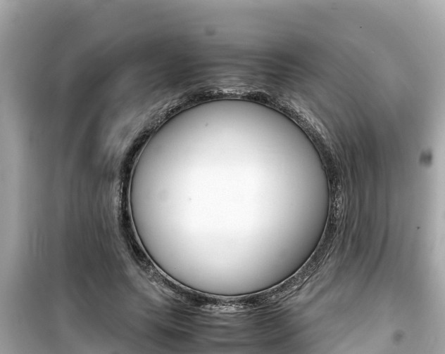 X0000099940639200805231021