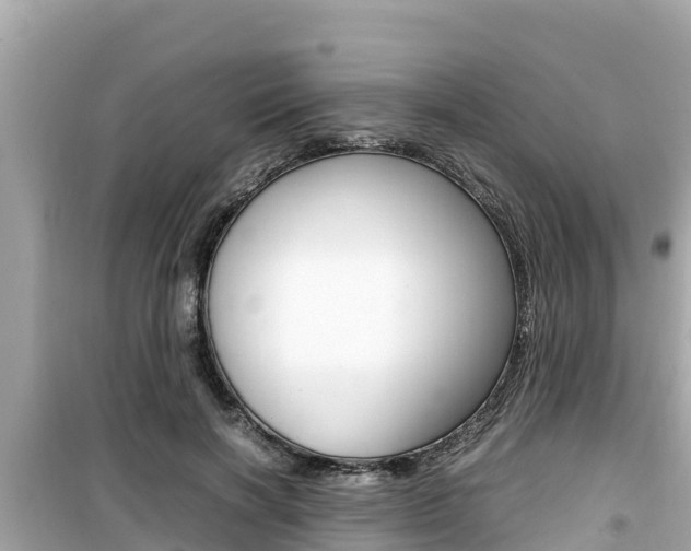 X0000099940646200805231022