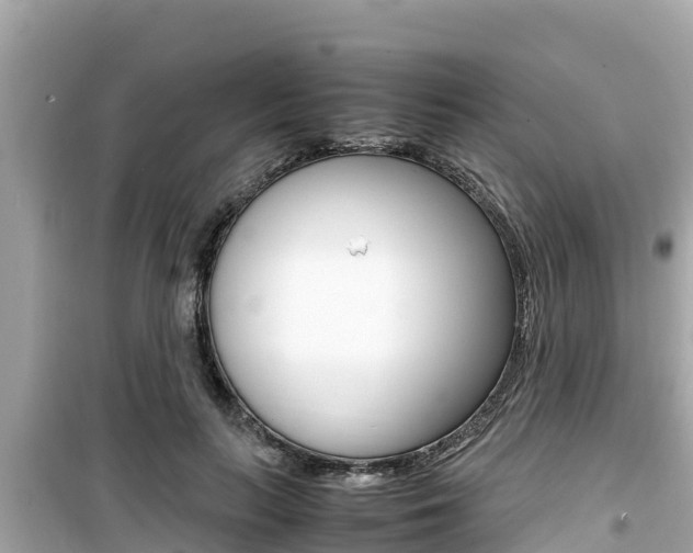 X0000099940647200805231022