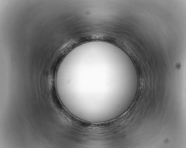 X0000099940648200805231022