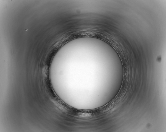 X0000099940649200805231022