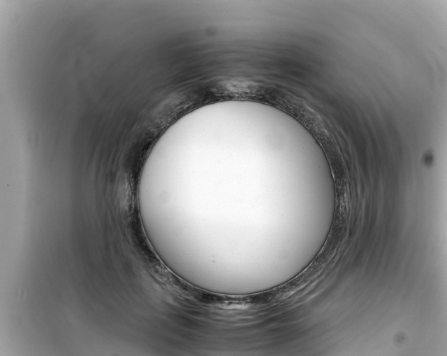 X0000099940651200805231022