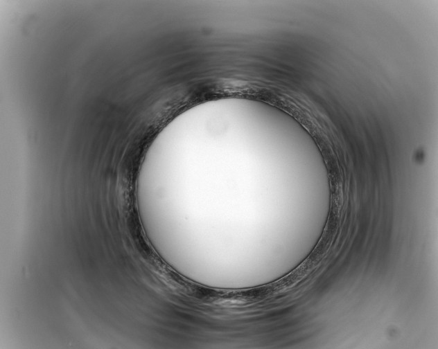 X0000099940653200805231022