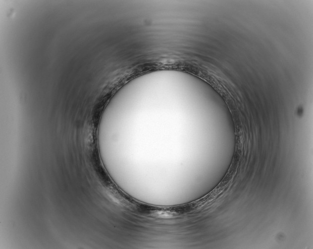 X0000099940654200805231022