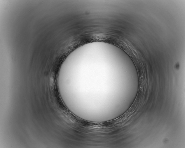 X0000099940655200805231022