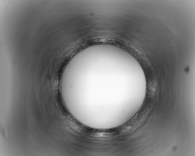 X0000099940657200805231022