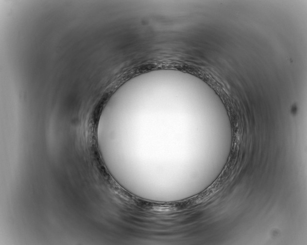 X0000099940659200805231022