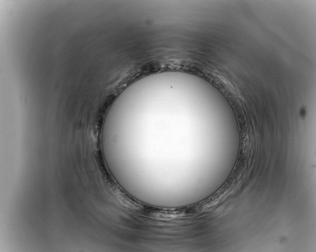 X0000099940661200805231022