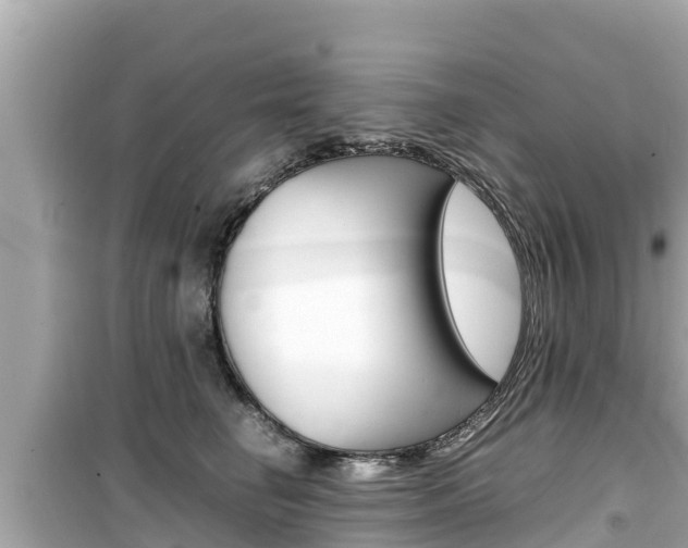 X0000099940662200805231022