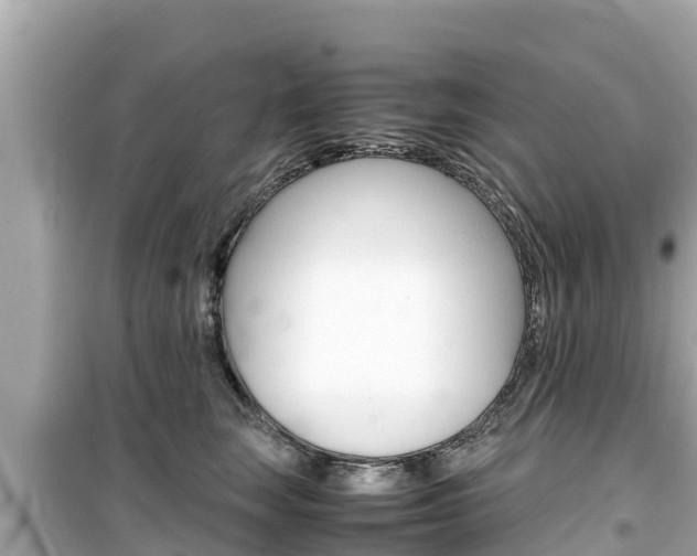 X0000099940663200805231022