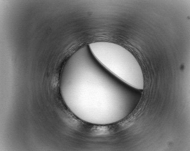 X0000099940665200805231022