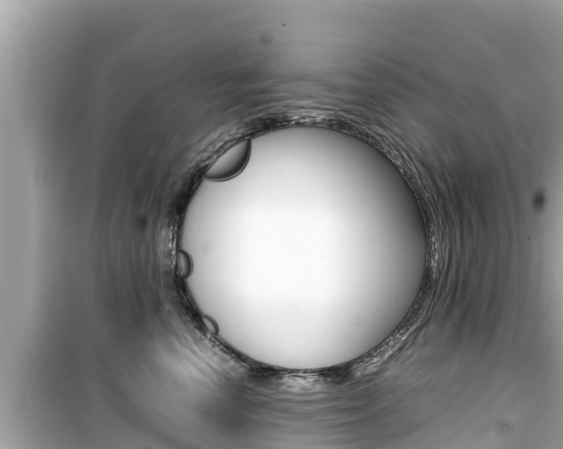 X0000099940666200805231022