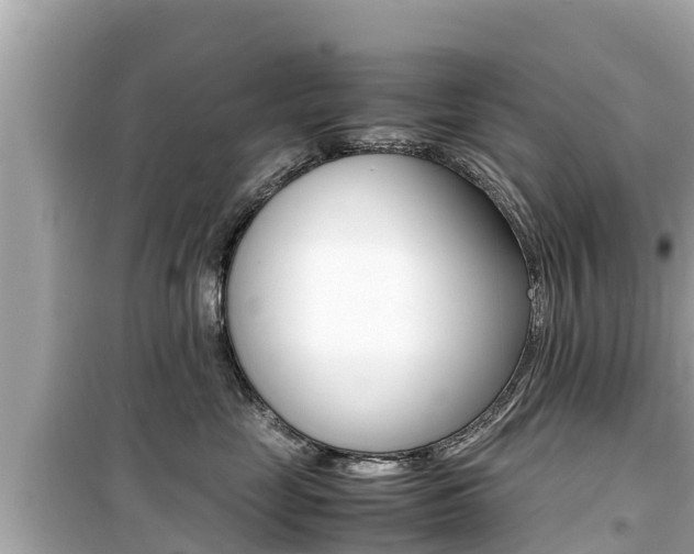 X0000099940669200805231022