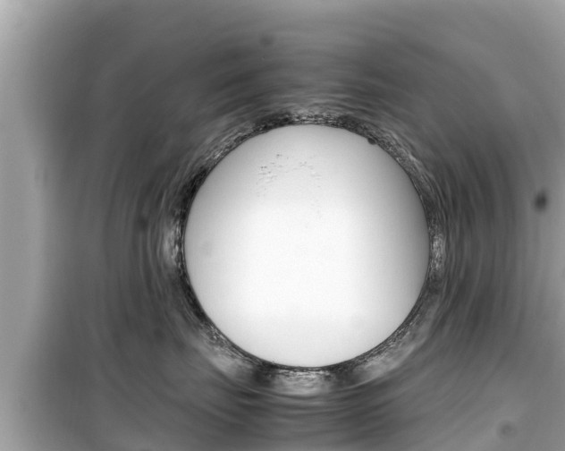 X0000099940671200805231022