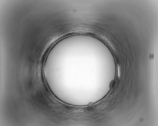 X0000099940675200805231021