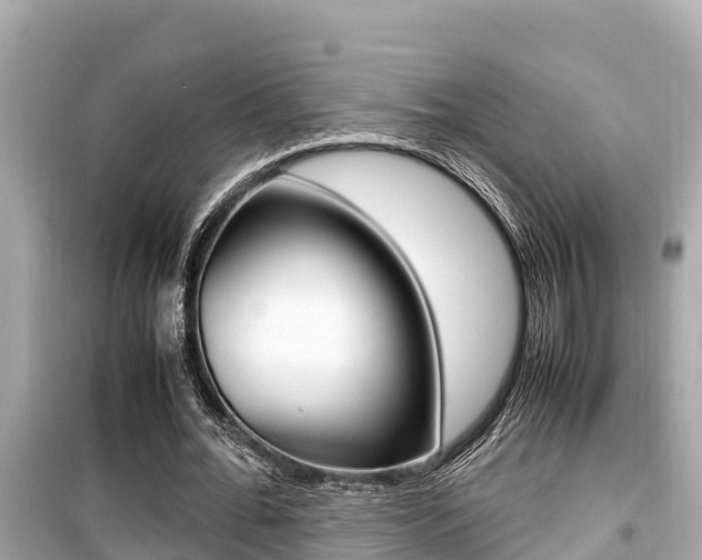 X0000099940676200805231021