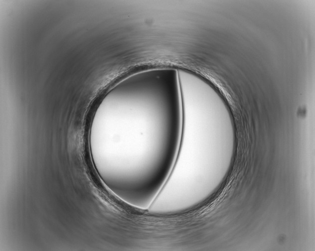 X0000099940677200805231021