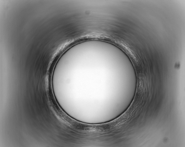 X0000099940678200805231021