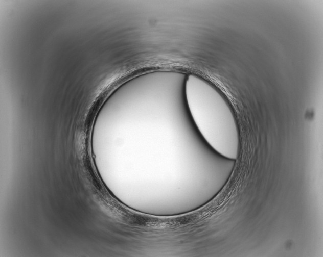 X0000099940679200805231021