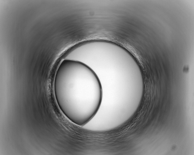 X0000099940680200805231021