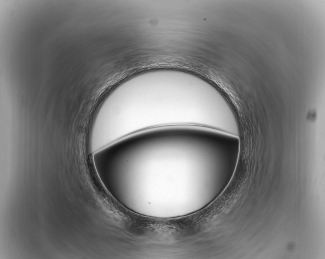 X0000099940681200805231021