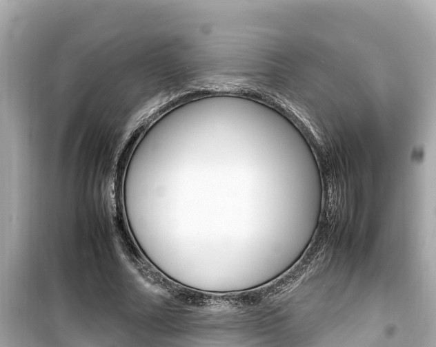 X0000099940682200805231021