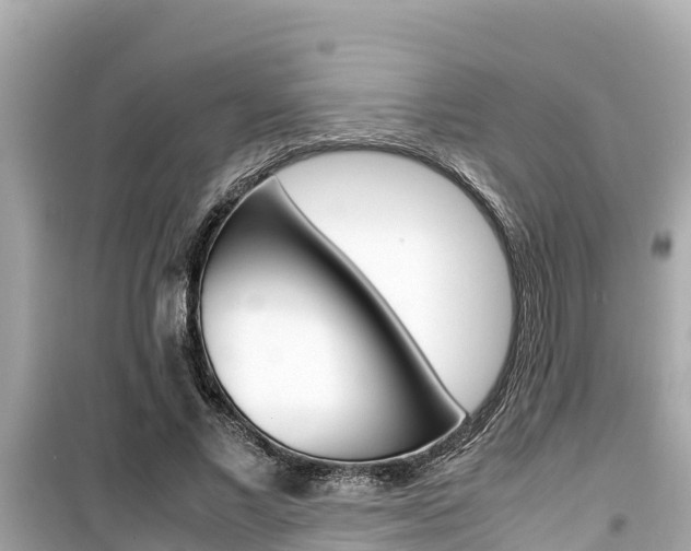 X0000099940685200805231021
