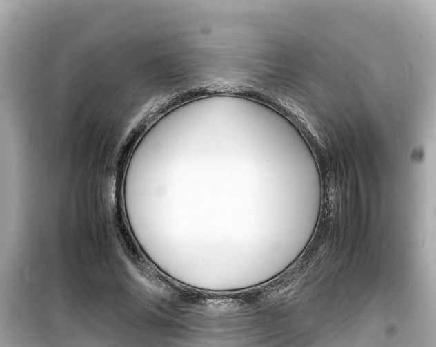 X0000099940686200805231021