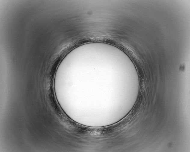 X0000099940687200805231021