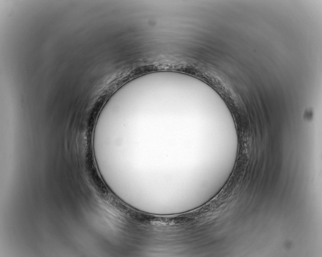 X0000099940690200805231021