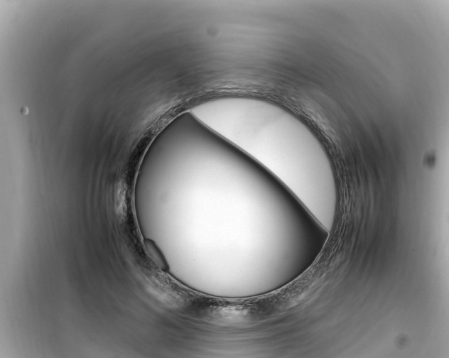 X0000099940692200805231021