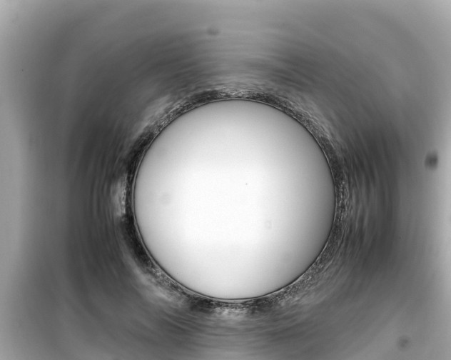 X0000099940694200805231021