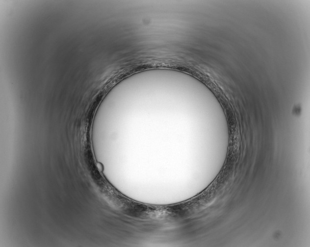 X0000099940695200805231021
