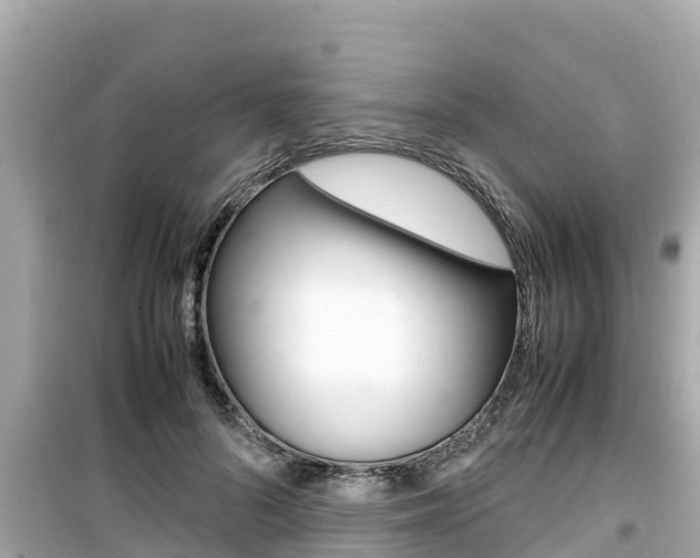X0000099940696200805231021