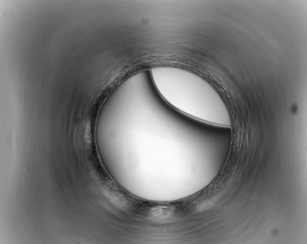 X0000099940700200805231021