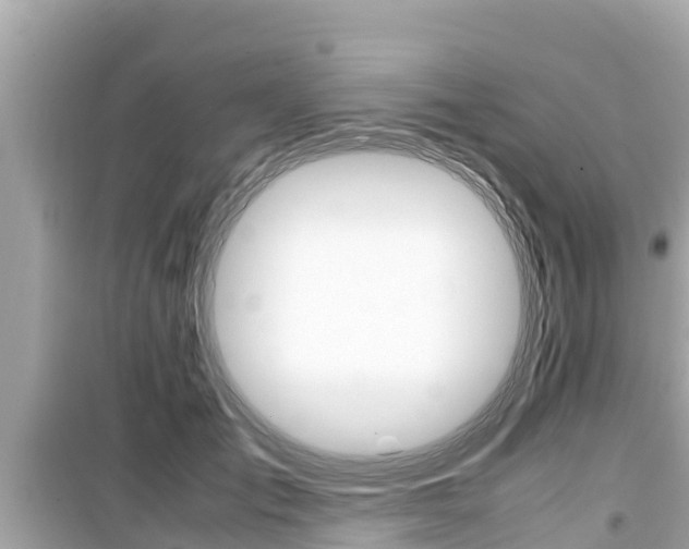 X0000099940701200805231021
