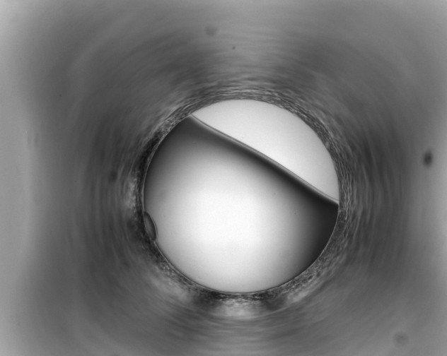 X0000099940708200805231021