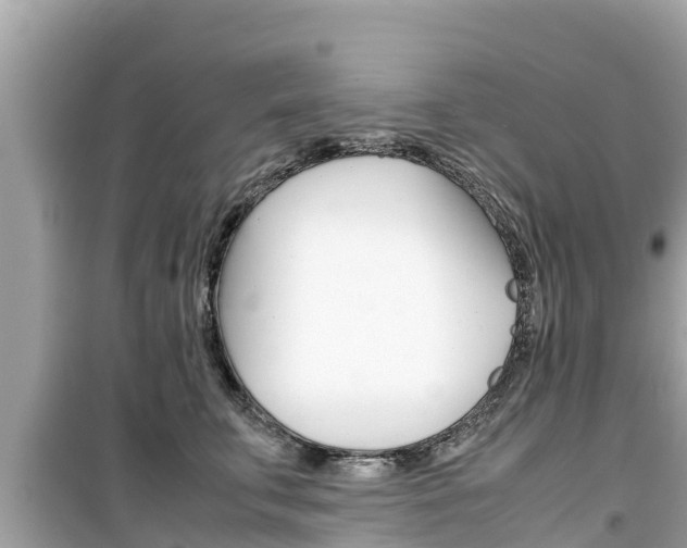 X0000099940711200805231021