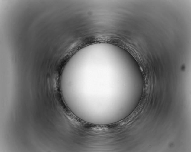 X0000099940712200805231021