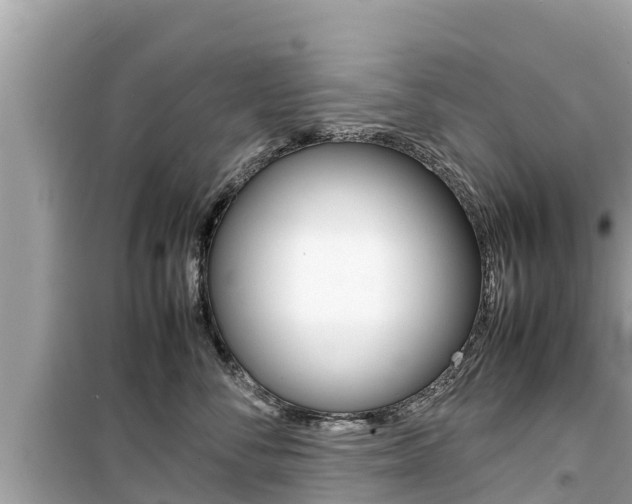 X0000099940716200805231021