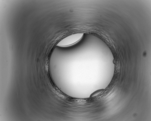X0000099940719200805231021