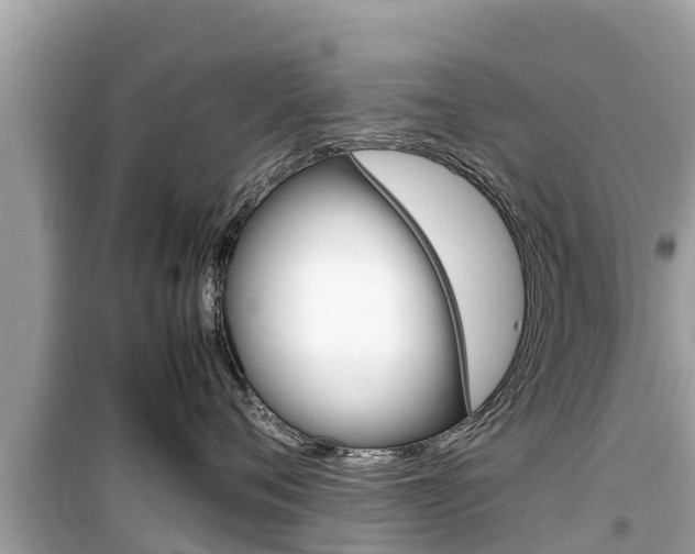 X0000099940720200805231021