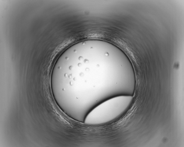 X0000099940721200805231020